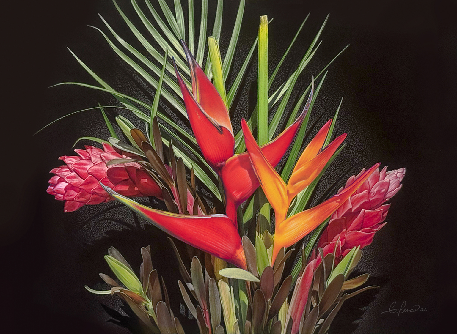 Paradise by Gary Penca