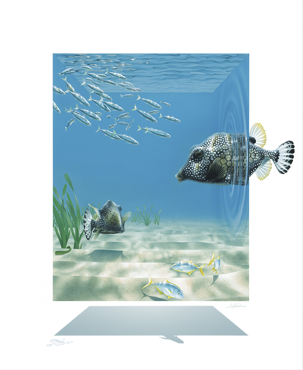 Surreal Shallows by Gary Penca