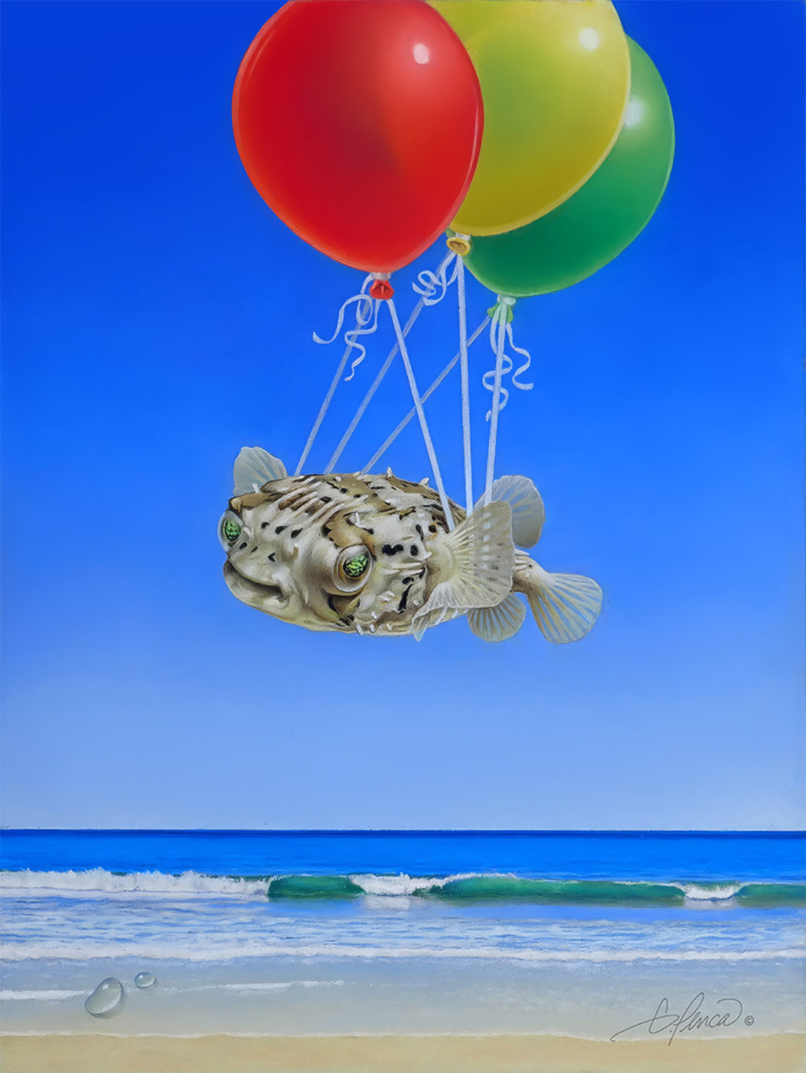 Balloonfish by Gary Penca