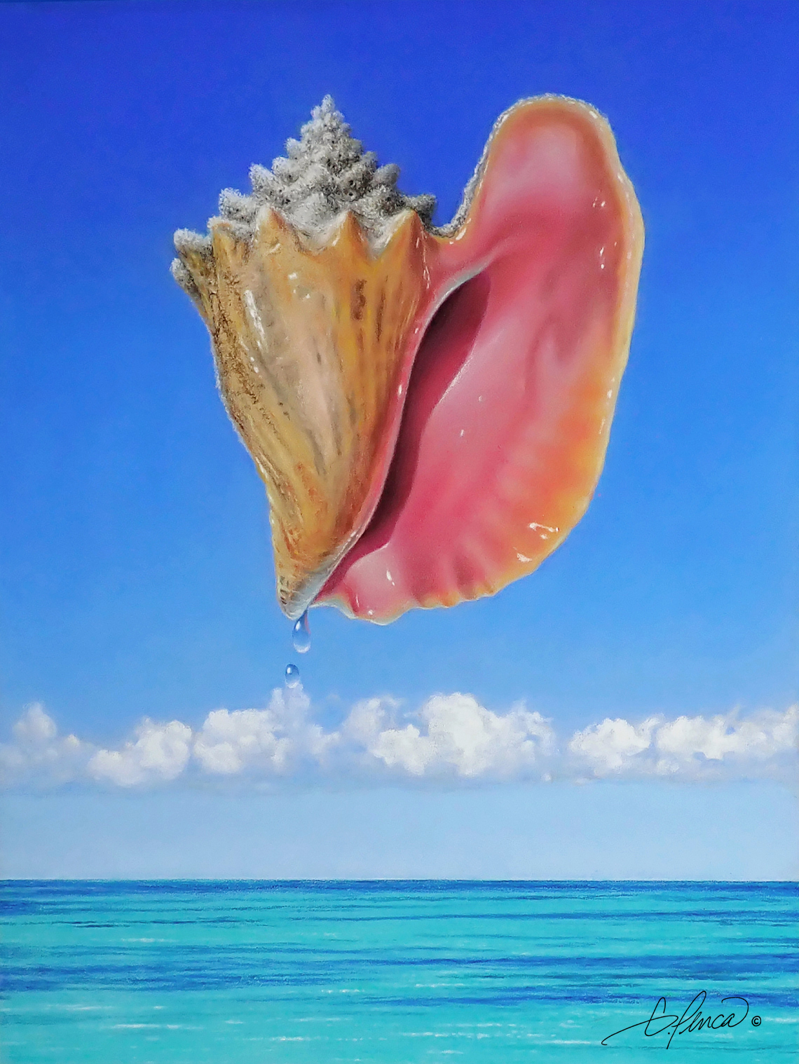 Conch by Gary Penca