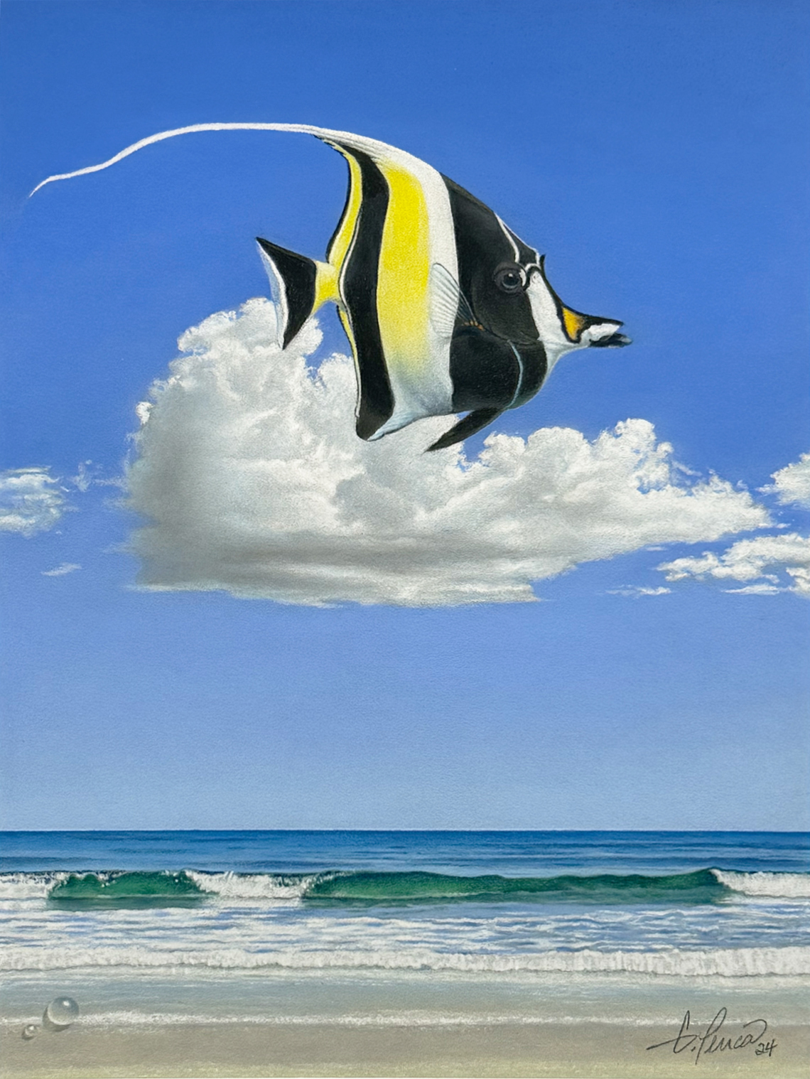 Moorish Idol by Gary Penca