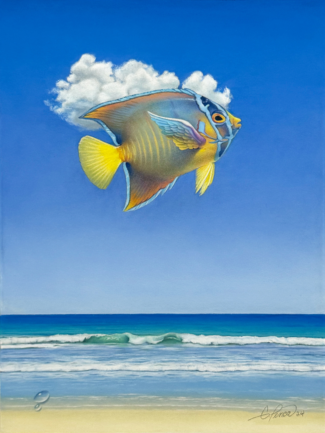Queen angelfish by Gary Penca
