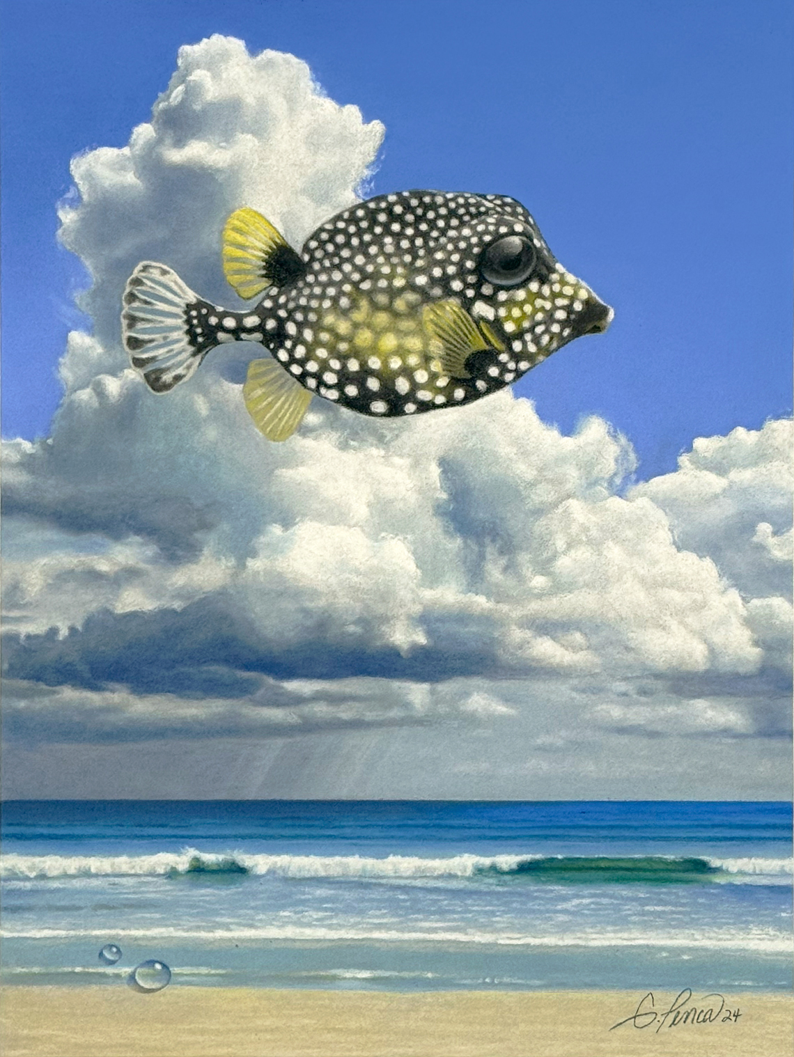 Smooth Trunkfish by Gary Penca