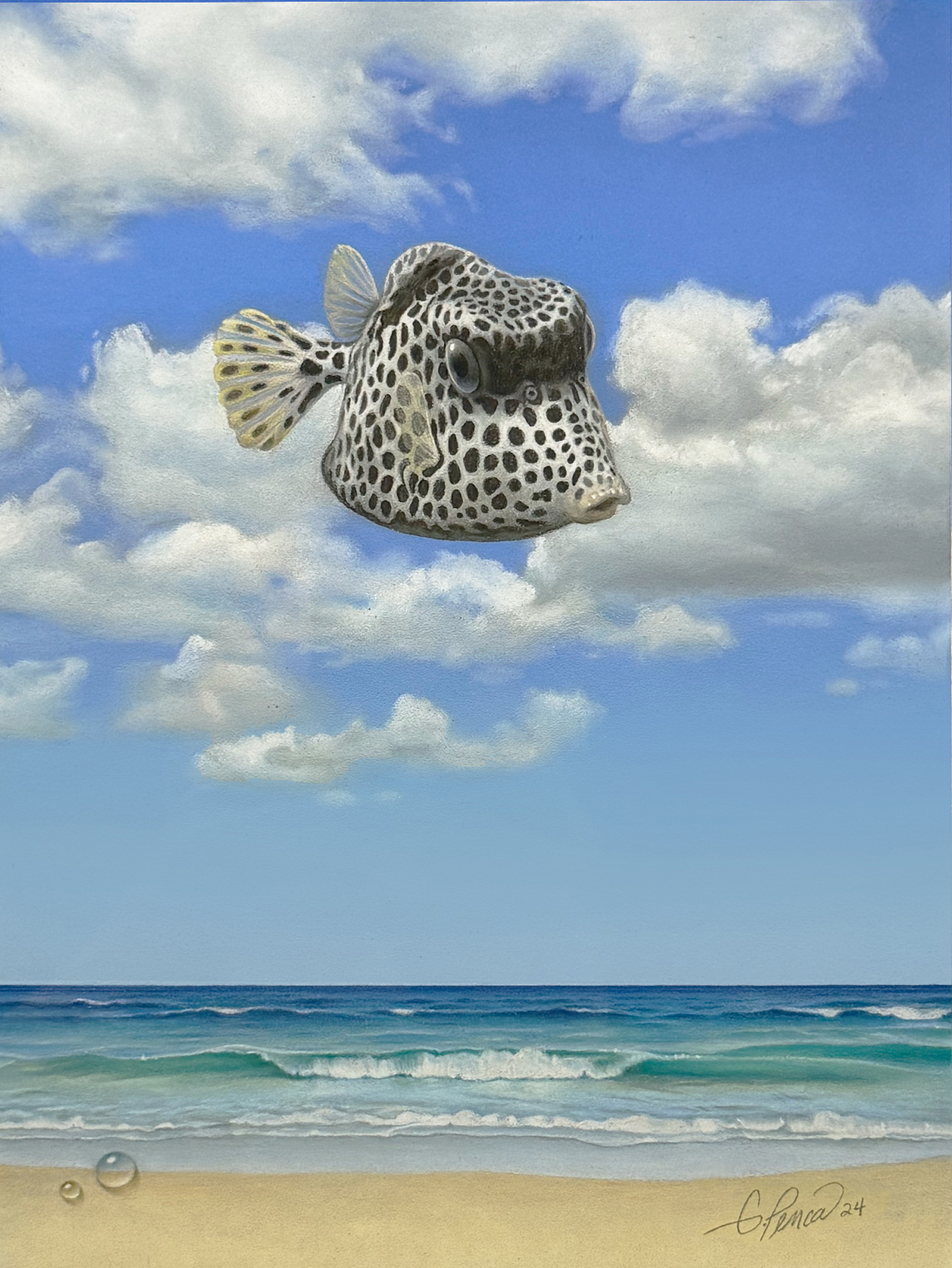 Spotted Trunkfish by Gary Penca