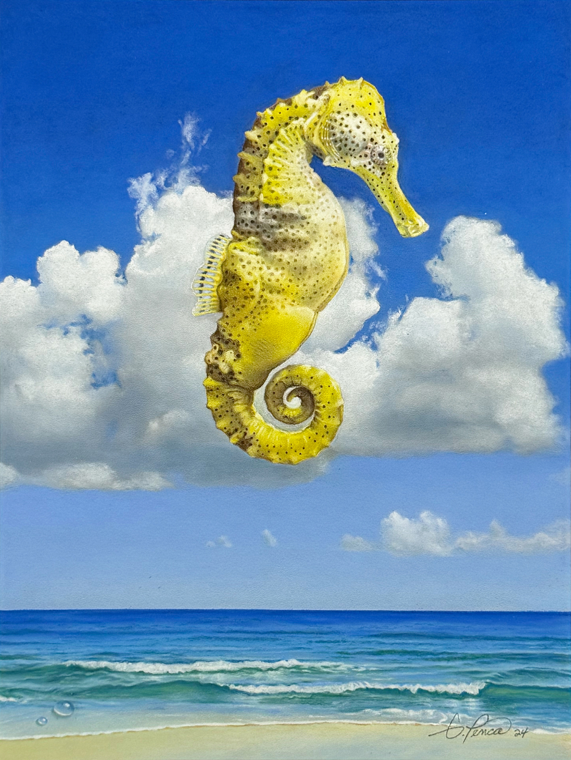 Yellow Seahorse by Gary Penca