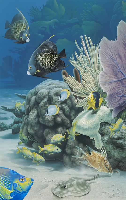 Patch reef by Gary Penca