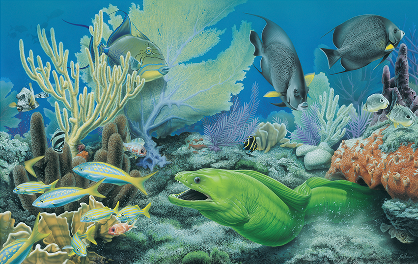 Reef Hunter by Gary Penca