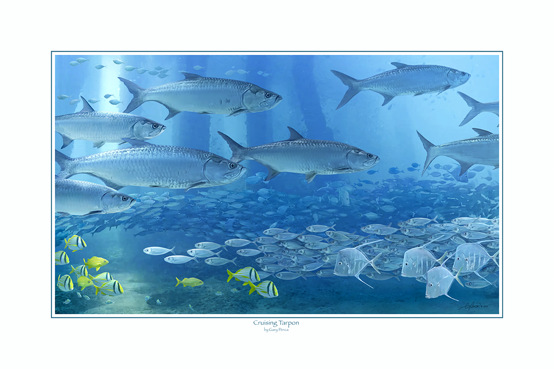 Cruising Tarpon by Gary Penca