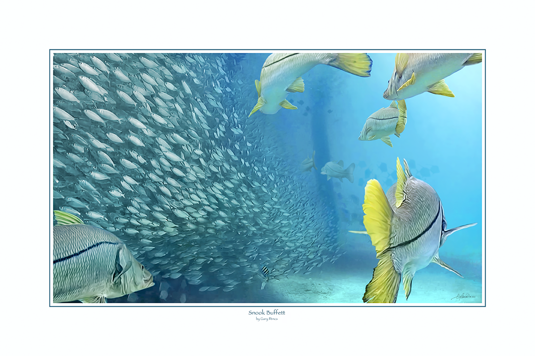 Snook Buffet by Gary Penca